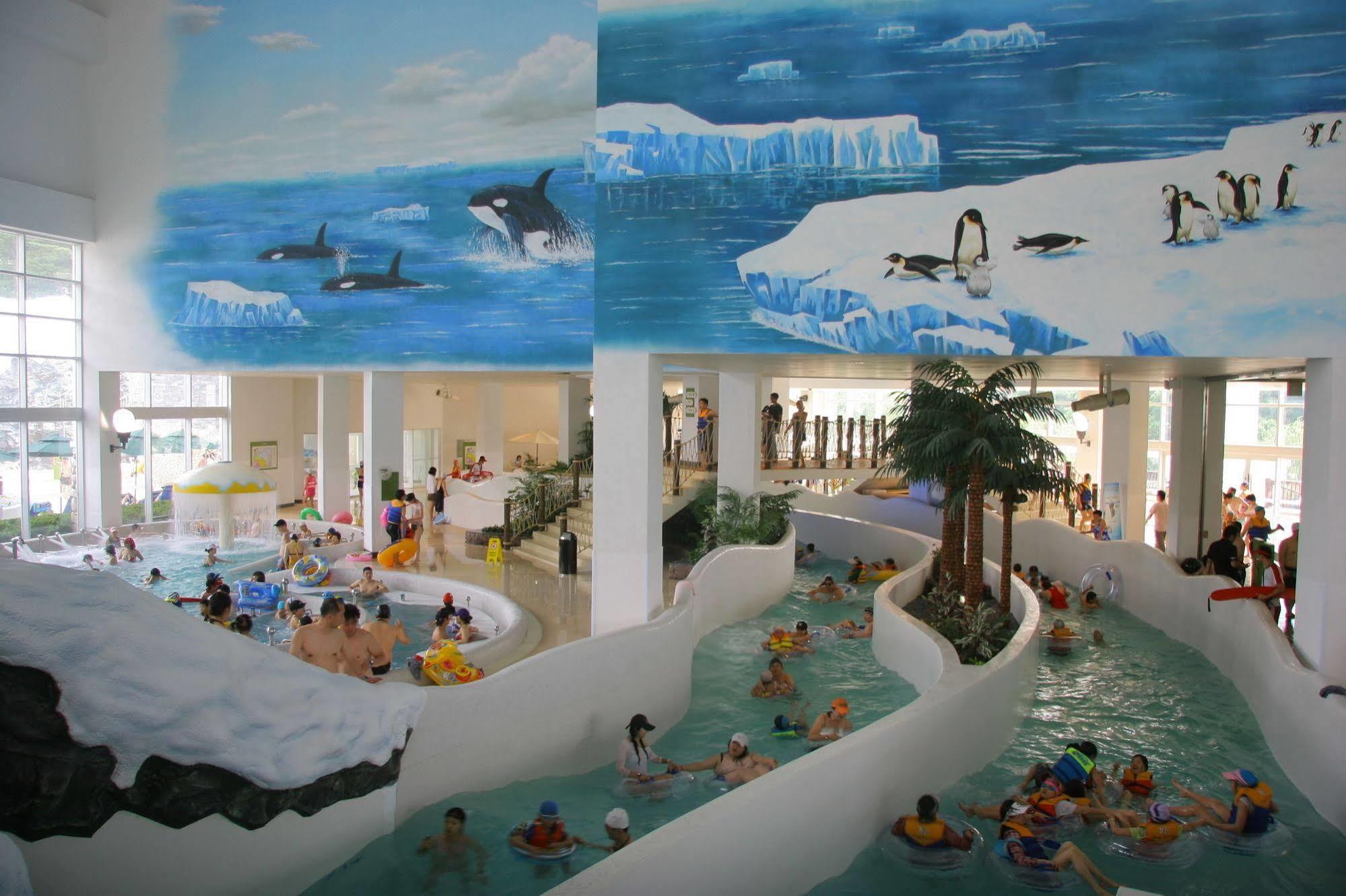 Yongpyong Resort Villa Condominium Pyeongchang Buitenkant foto