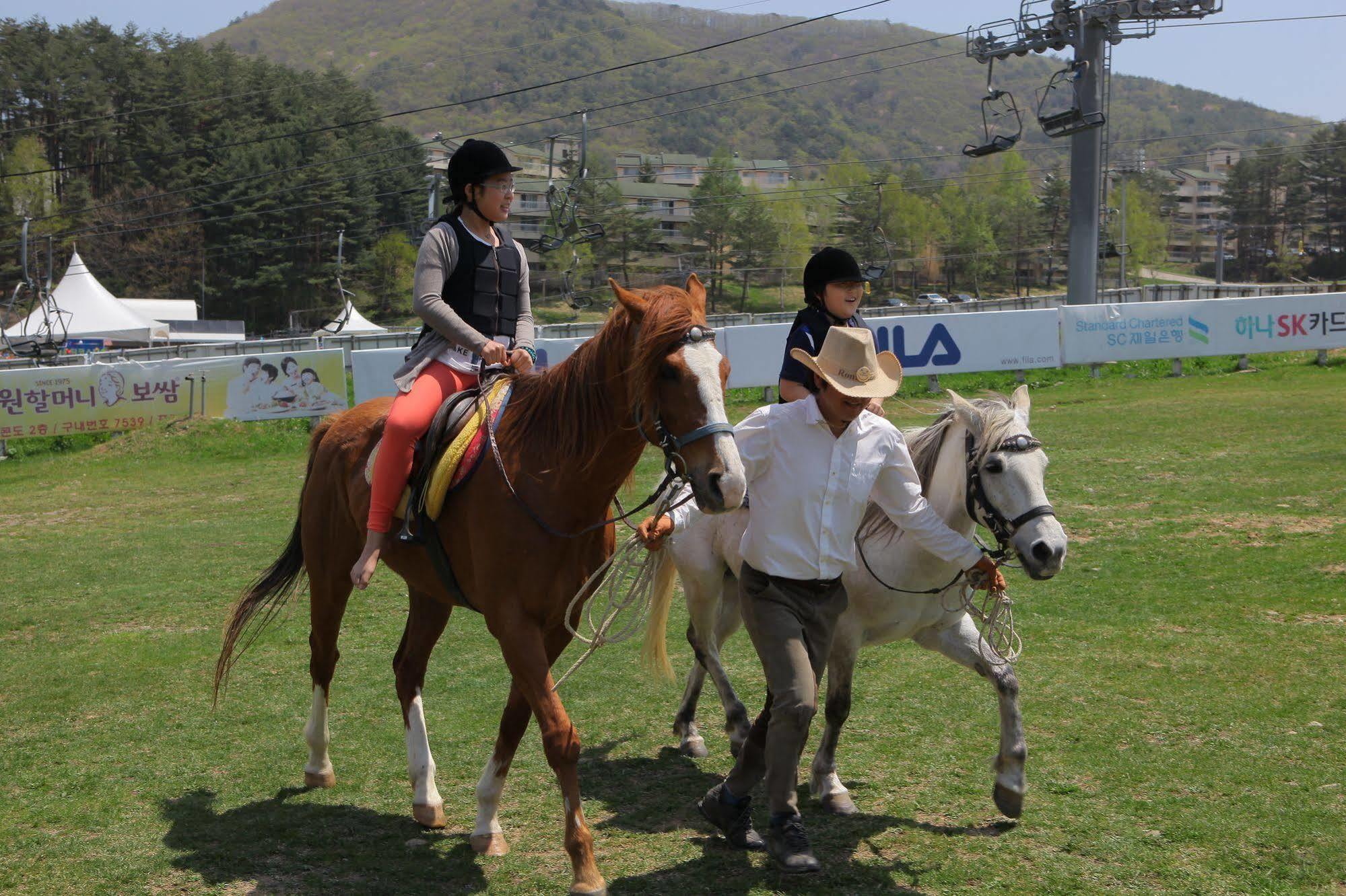 Yongpyong Resort Villa Condominium Pyeongchang Buitenkant foto